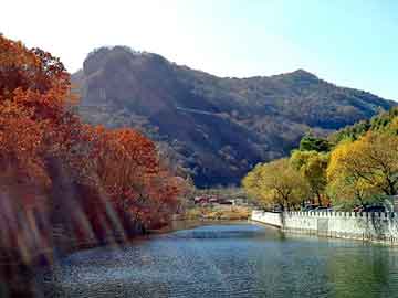 养牛前景，海棠依旧泛崇光目录